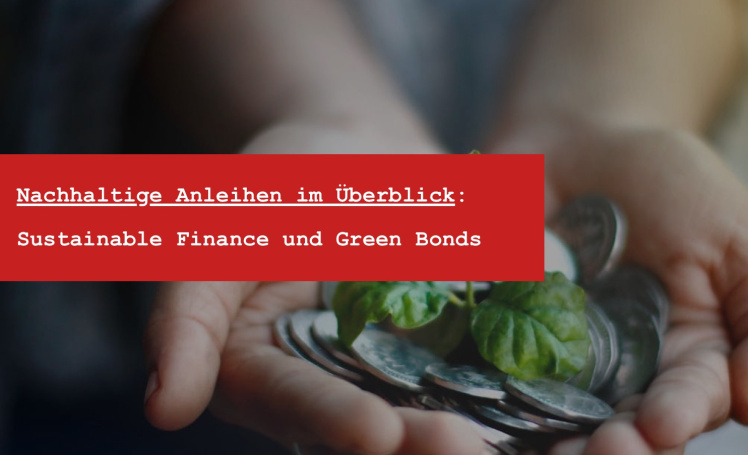 ESG-Investitionen und Nachhaltige Anleihen im Überblick