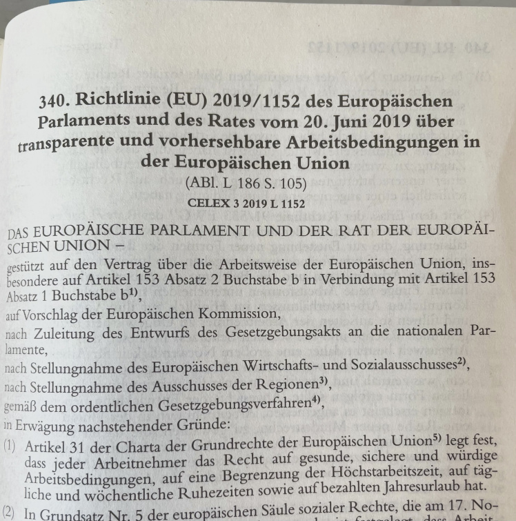 RiIi EU Nachweisgesetz