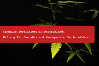 Cannabiskonsum Deutschland Menge - THC Autokontrolle Grenze