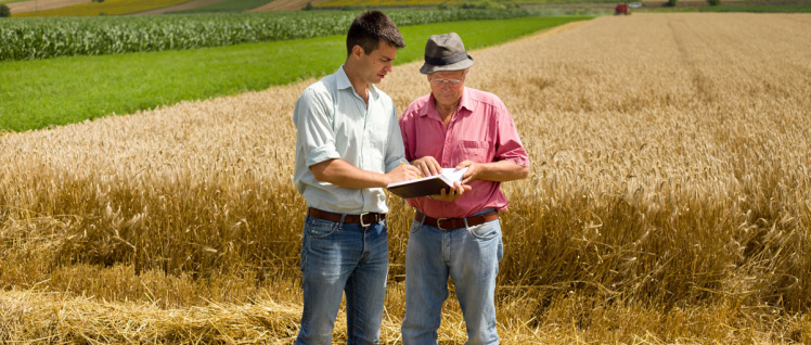 Landwirtschaftsrecht